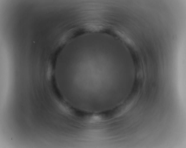 X0000113860647200910011022