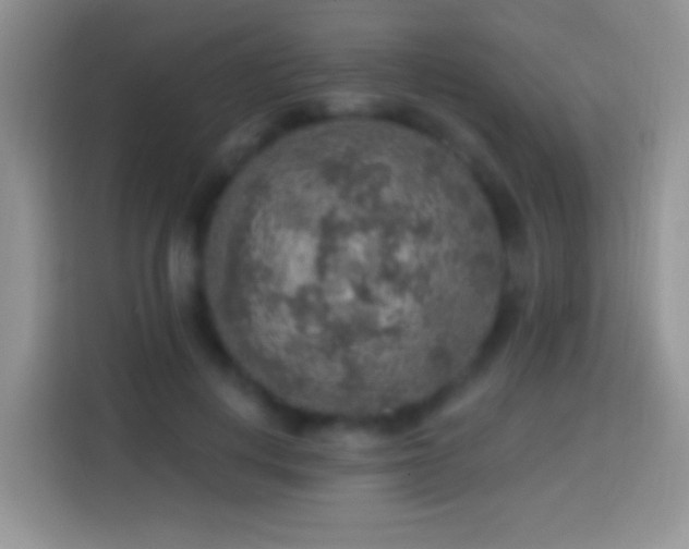 X0000113860648200910011022