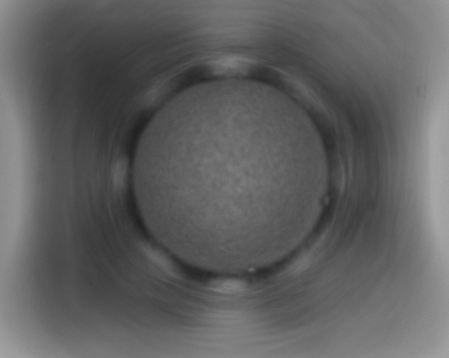 X0000113860649200910011022