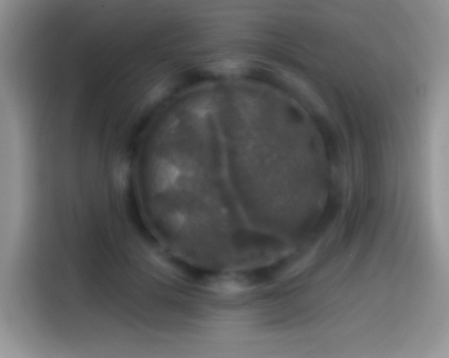 X0000113860652200910011022