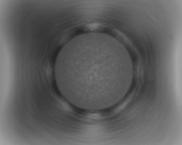 X0000113860653200910011022