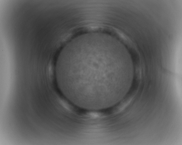 X0000113860654200910011022