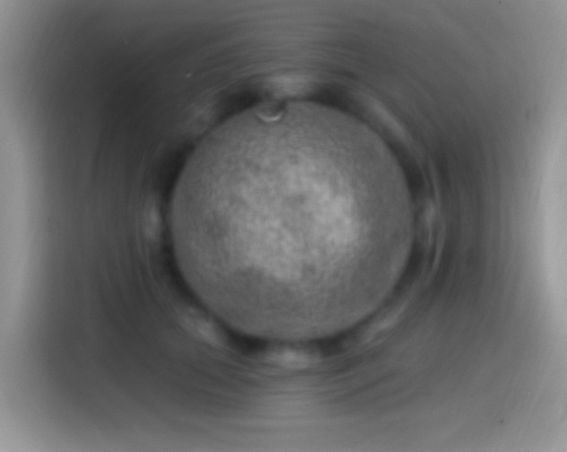 X0000113860655200910011022