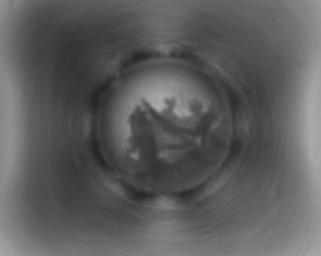 X0000113860656200910011022