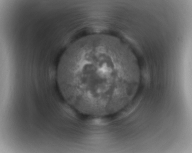 X0000113860657200910011022
