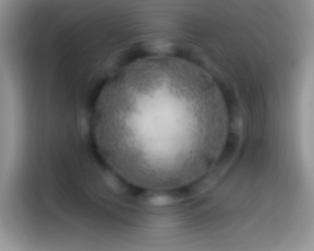 X0000113860658200910011022