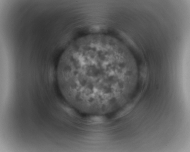 X0000113860659200910011022