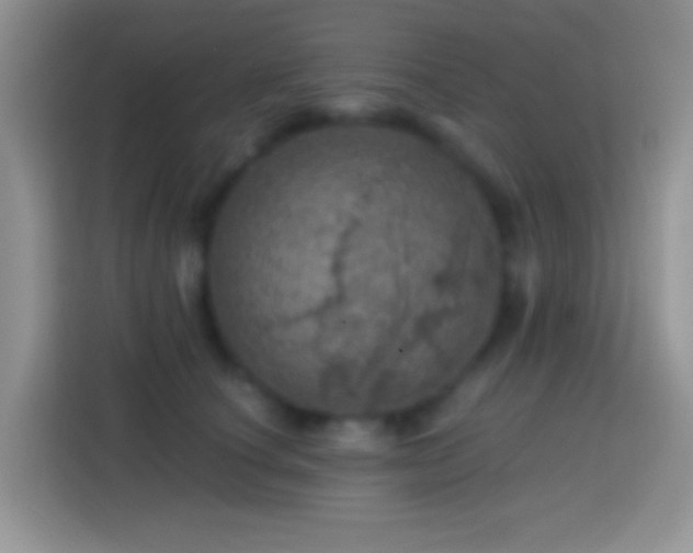 X0000113860660200910011022
