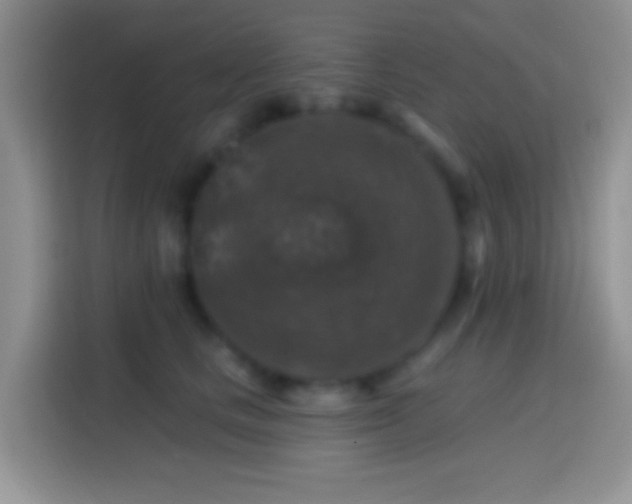 X0000113860661200910011022