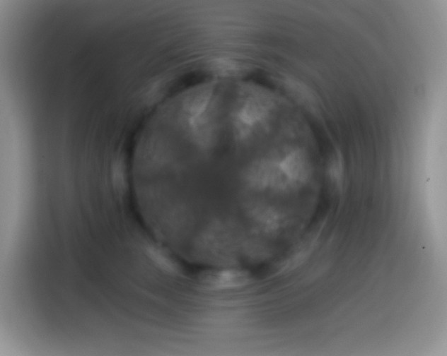 X0000113860663200910011022