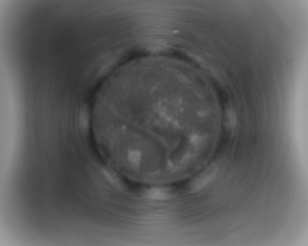 X0000113860664200910011022