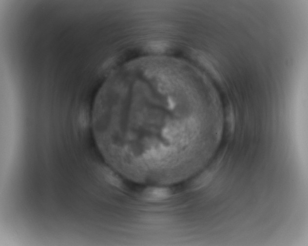 X0000113860665200910011022