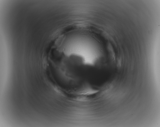 X0000113860666200910011022