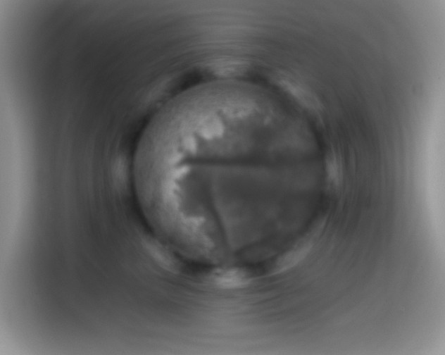 X0000113860667200910011022