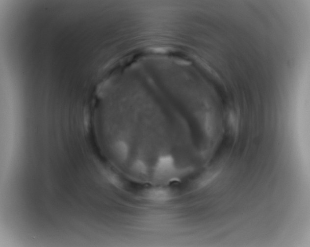X0000113860668200910011022