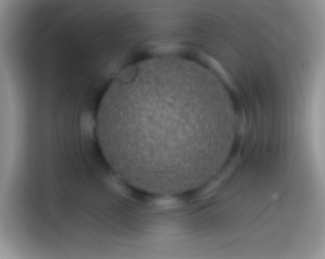 X0000113860669200910011022