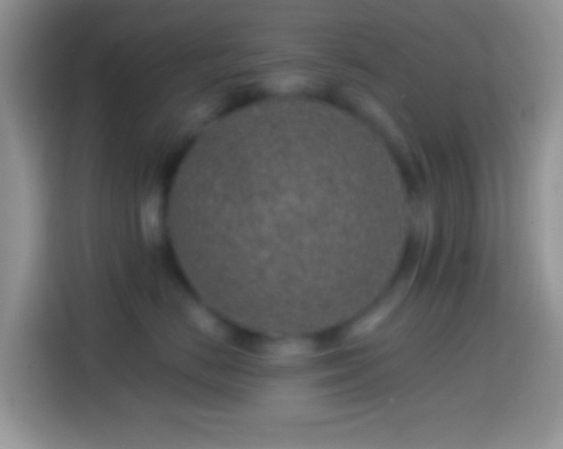 X0000113860670200910011022