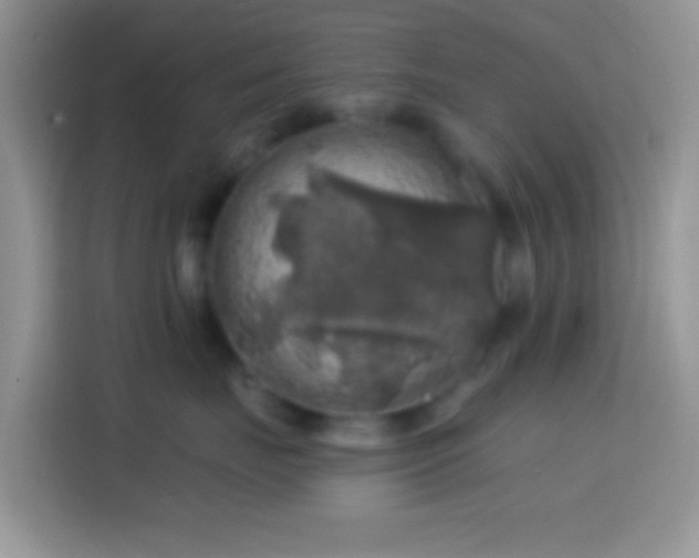 X0000113860671200910011022