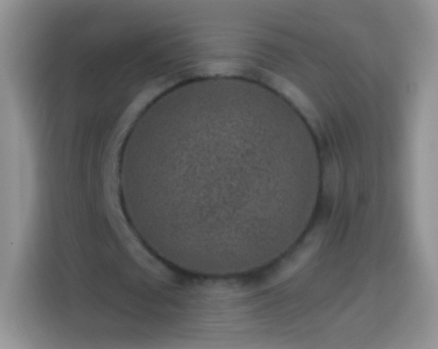 X0000113860673200910011022