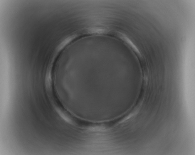 X0000113860674200910011022