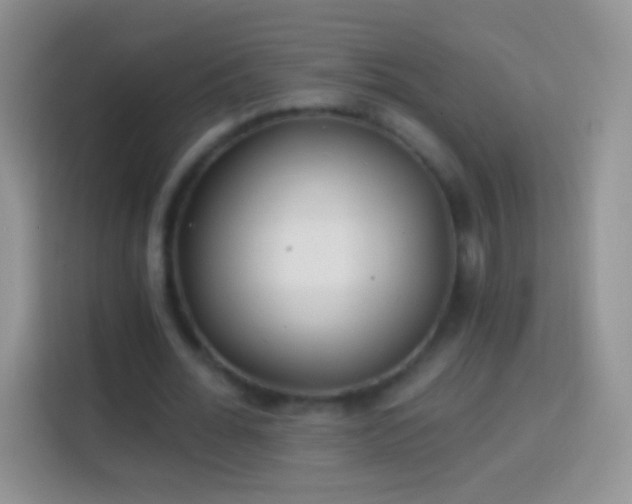 X0000113860676200910011022