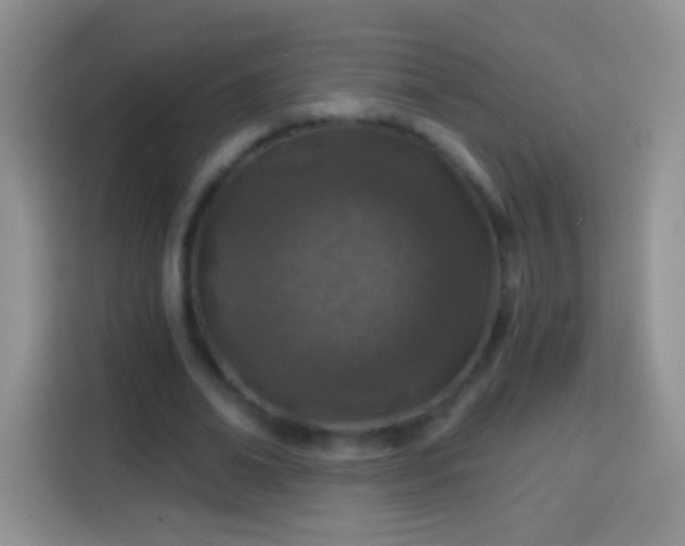 X0000113860678200910011022