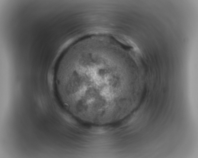 X0000113860679200910011022