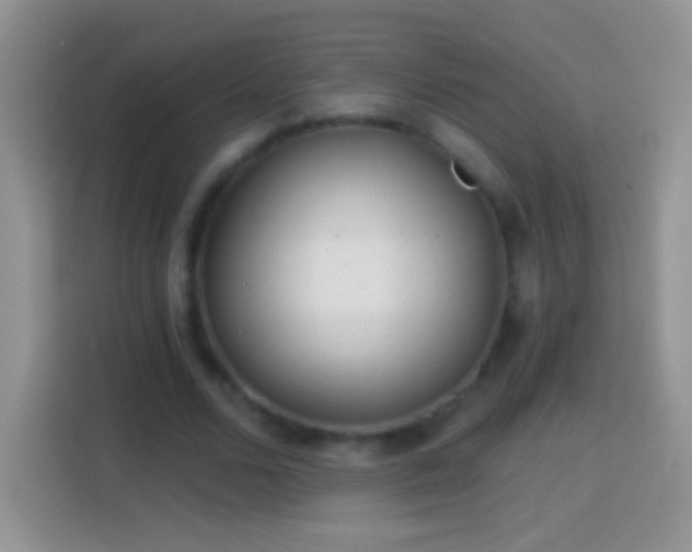 X0000113860680200910011022
