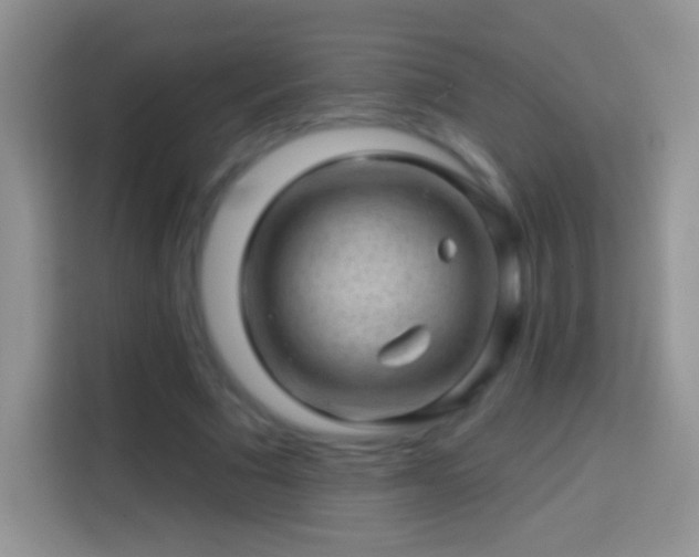 X0000113860681200910011022