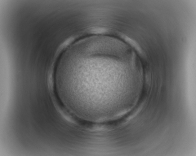 X0000113860682200910011022