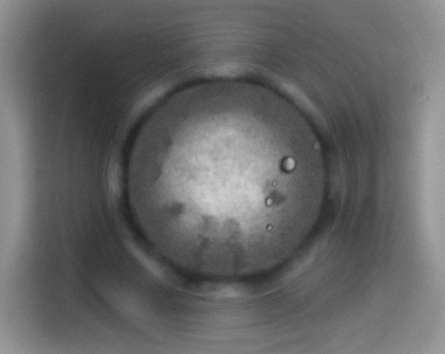 X0000113860683200910011022