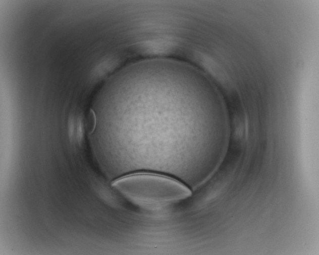 X0000113860685200910011022