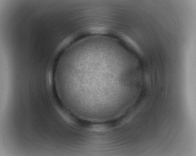 X0000113860686200910011022