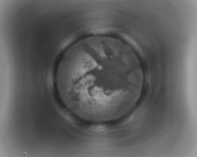 X0000113860687200910011022