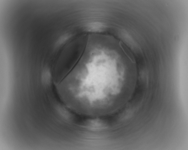 X0000113860688200910011022