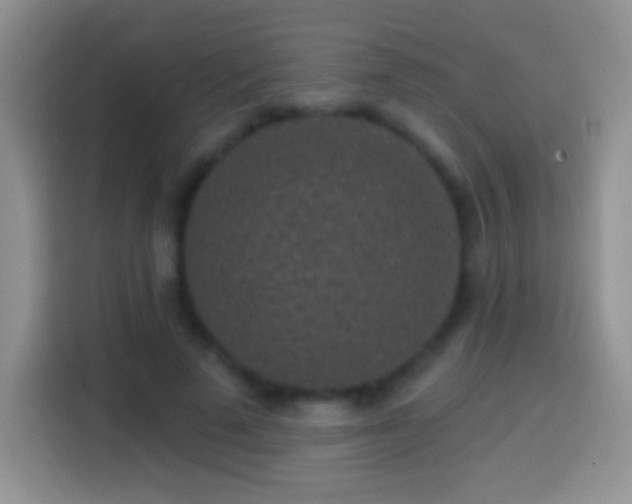 X0000113860689200910011022