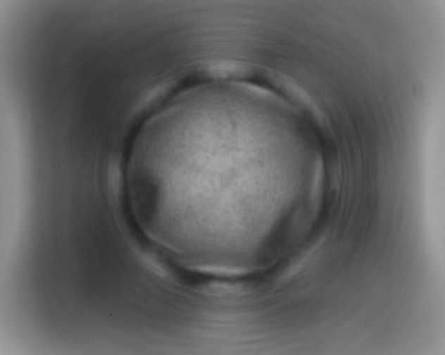 X0000113860690200910011022