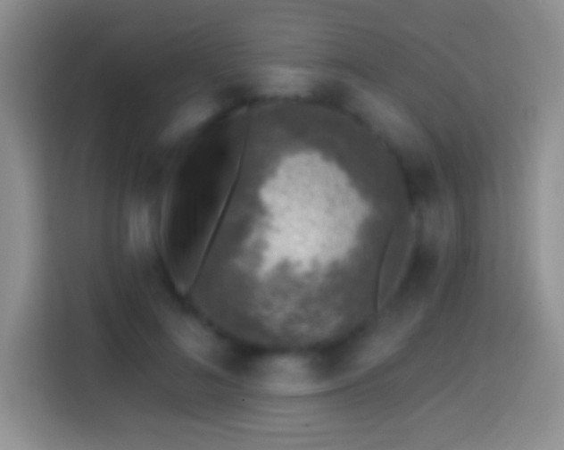 X0000113860692200910011021