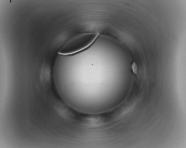 X0000113860693200910011021