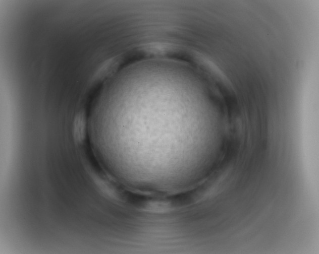 X0000113860694200910011021
