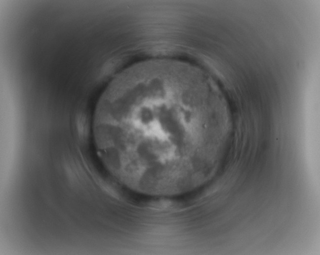 X0000113860695200910011021