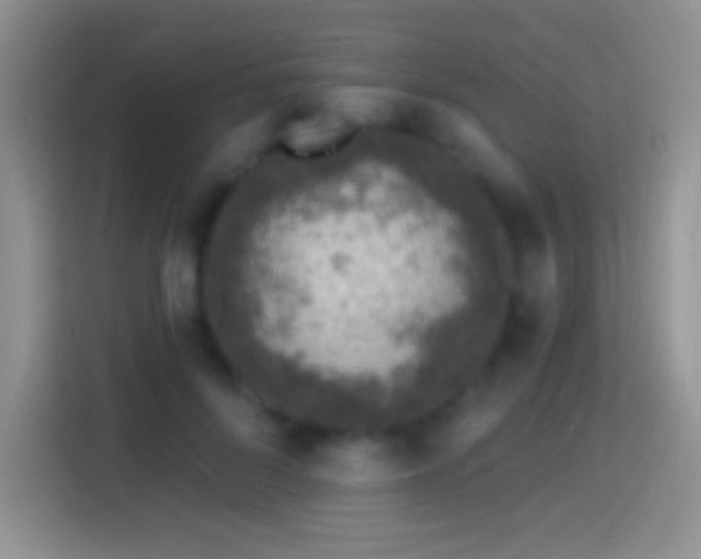 X0000113860696200910011021