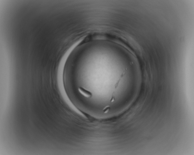 X0000113860697200910011021
