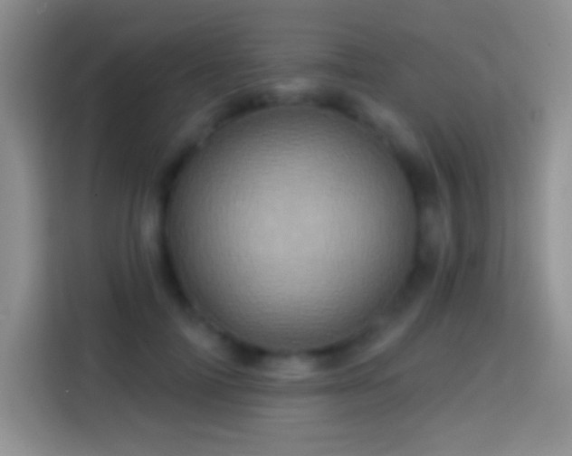 X0000113860698200910011021