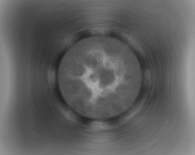 X0000113860699200910011021