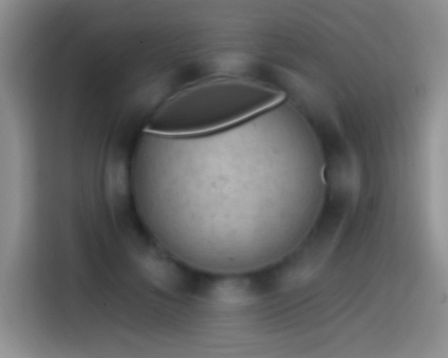 X0000113860700200910011021