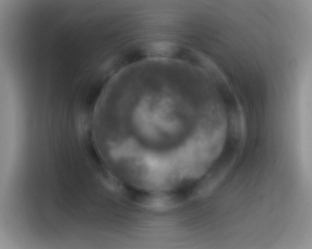 X0000113860701200910011021