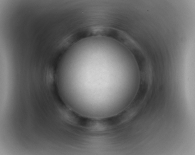 X0000113860702200910011021