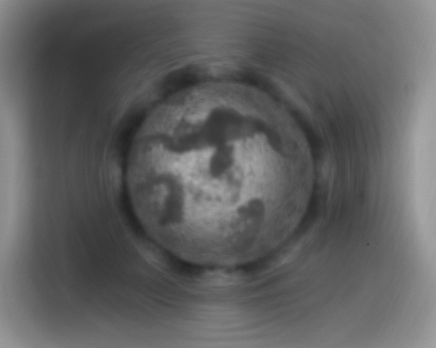 X0000113860703200910011021
