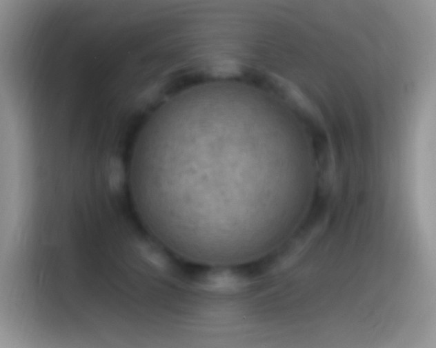 X0000113860704200910011021